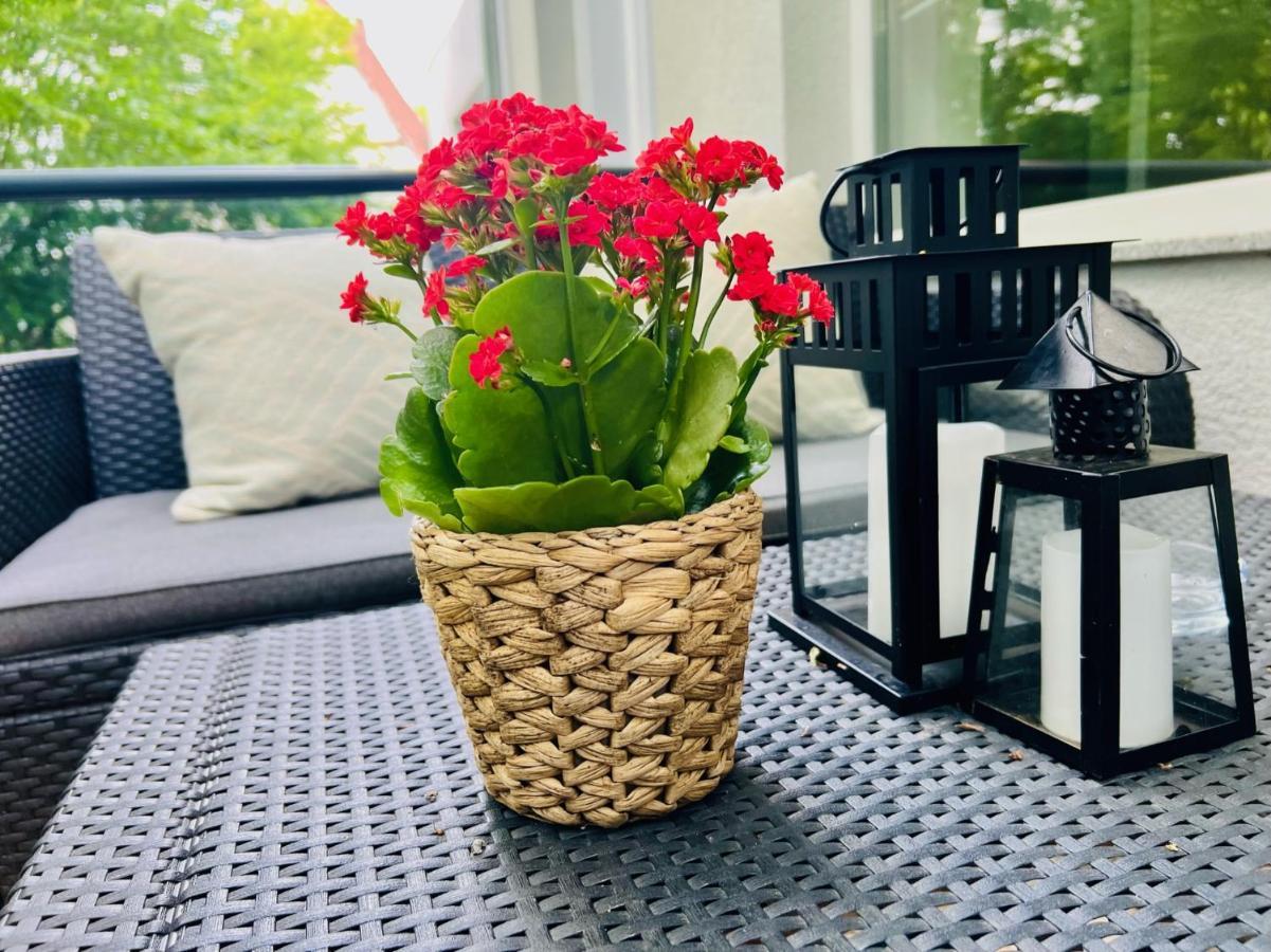 Ferienwohnung An Der Stadtmauer Und Turmblick 吕格德 外观 照片